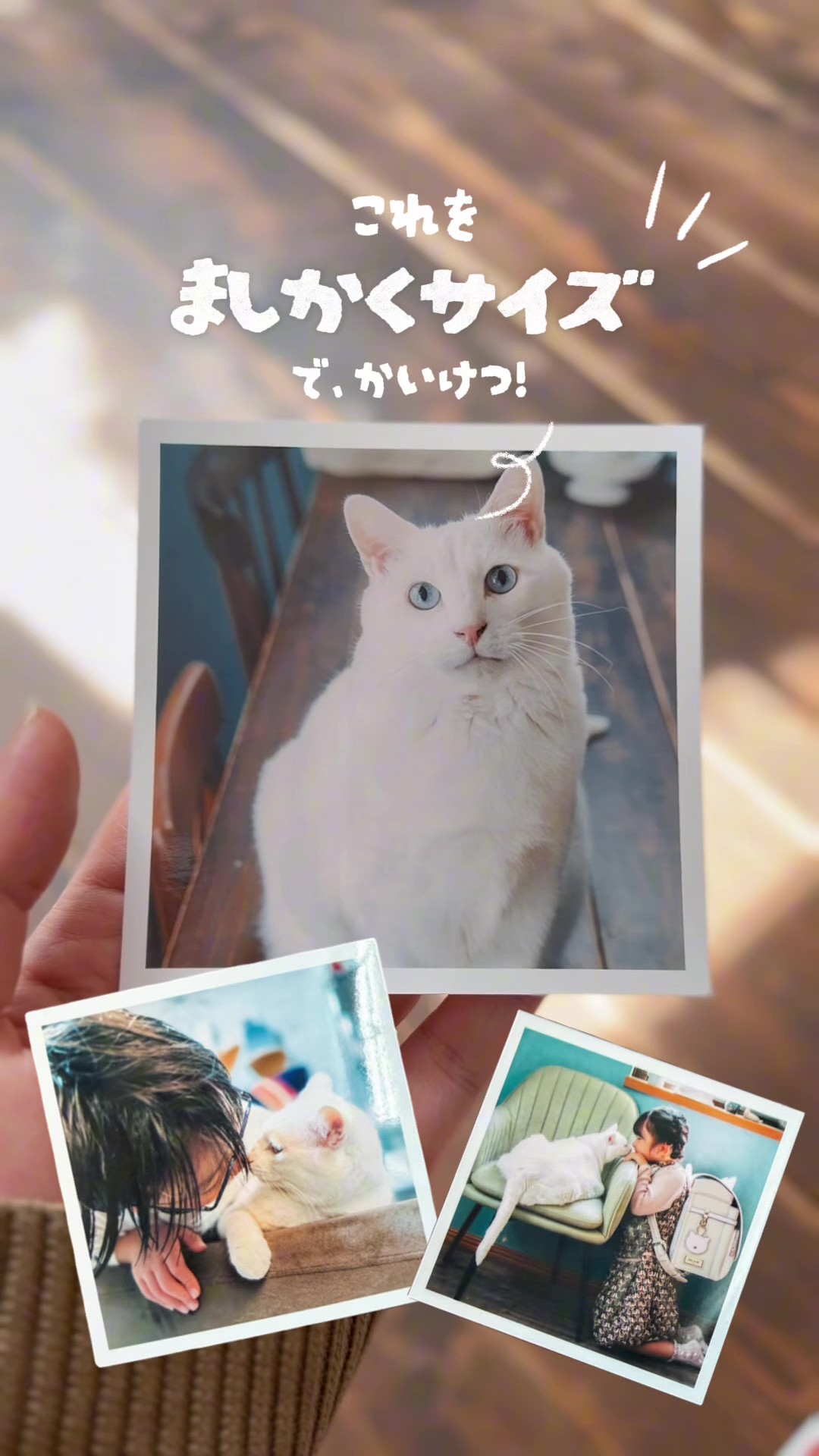 Post Image chouchou_cherie_caro